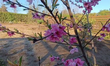 Casa en Venta en Sector Huasos I