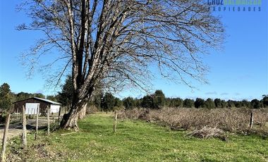 Agrícola en Venta en A solo 5 minutos de Los Muermos