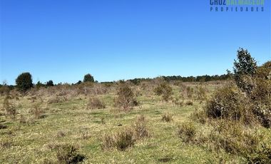 Agrícola en Venta en A solo 5 minutos de Los Muermos