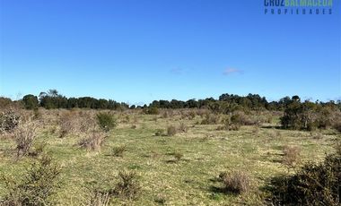 Agrícola en Venta en A solo 5 minutos de Los Muermos