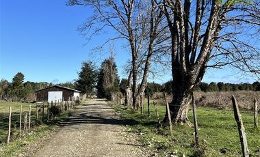 Agrícola en Venta en A solo 5 minutos de Los Muermos