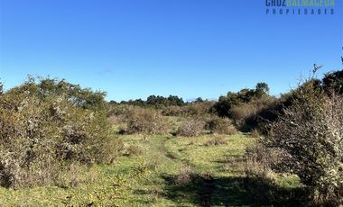 Agrícola en Venta en A solo 5 minutos de Los Muermos