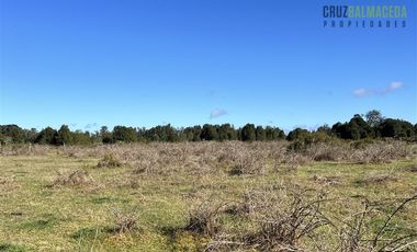 Agrícola en Venta en A solo 5 minutos de Los Muermos