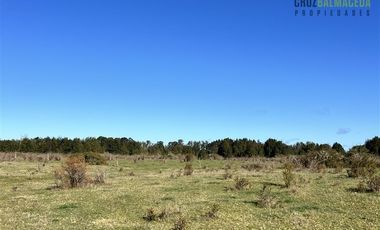 Agrícola en Venta en A solo 5 minutos de Los Muermos
