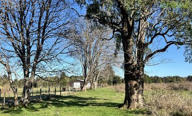 Agrícola en Venta en A solo 5 minutos de Los Muermos