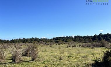 Agrícola en Venta en A solo 5 minutos de Los Muermos