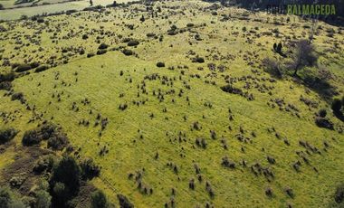 Agrícola en Venta en A solo 5 minutos de Los Muermos