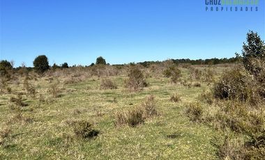Agrícola en Venta en A solo 5 minutos de Los Muermos