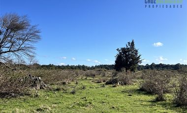 Agrícola en Venta en A solo 5 minutos de Los Muermos