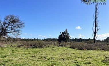 Agrícola en Venta en A solo 5 minutos de Los Muermos