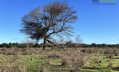 Agrícola en Venta en A solo 5 minutos de Los Muermos