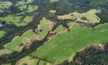 Agrícola en Venta en Tambor bajo