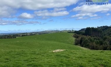 Agrícola en Venta en Tambor bajo