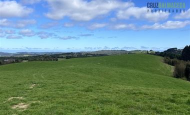 Agrícola en Venta en Tambor bajo