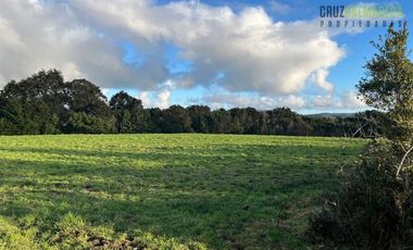 Agrícola en Venta en Tambor bajo