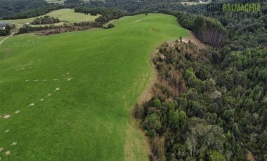 Agrícola en Venta en Tambor bajo