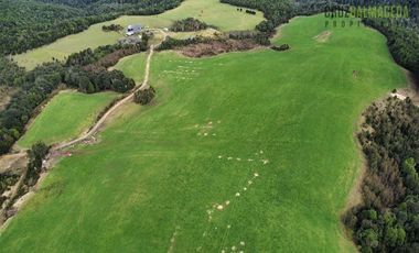 Agrícola en Venta en Tambor bajo