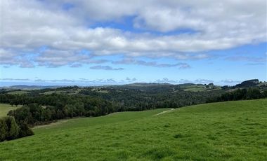Agrícola en Venta en Tambor bajo