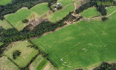 Agrícola en Venta en Tambor bajo