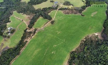 Agrícola en Venta en Tambor bajo