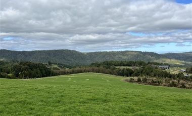 Agrícola en Venta en Tambor bajo
