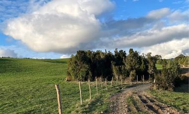 Agrícola en Venta en Tambor bajo
