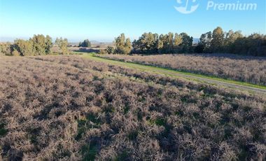 Parcela en Venta en Ruta Los Conquistadores KM 14