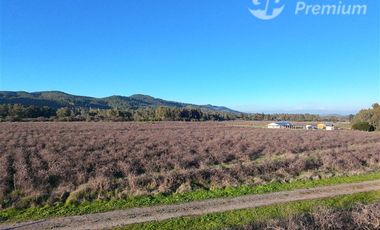 Parcela en Venta en Ruta Los Conquistadores KM 14