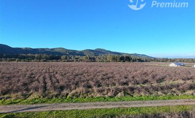 Parcela en Venta en Ruta Los Conquistadores KM 14