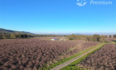 Parcela en Venta en Ruta Los Conquistadores KM 14