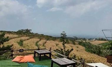 SERIOUS SALE.. HIDDEN GEM, NATURE CAFE RESTO WITH THE BEST MOUNTAIN VIEW IN KEDIRI