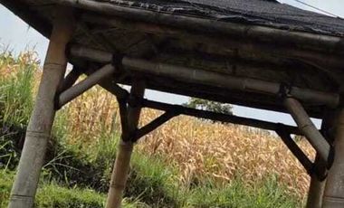 SERIOUS SALE.. HIDDEN GEM, NATURE CAFE RESTO WITH THE BEST MOUNTAIN VIEW IN KEDIRI