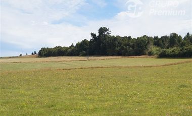 Parcela en Venta en Sector El Ñady