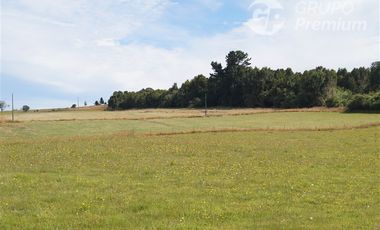 Parcela en Venta en Sector El Ñady