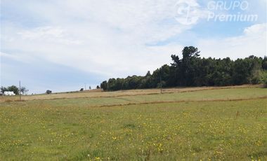 Parcela en Venta en Sector El Ñady