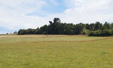 Parcela en Venta en Sector El Ñady