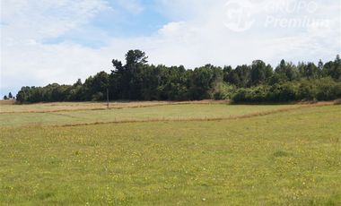 Parcela en Venta en Sector El Ñady