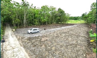 Model Bali Style Type 50, Jual Rumah Murah Jogja Sentolo