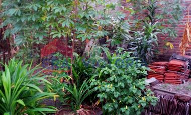 Rumah Dijual Terletak di Tengah Kota Kediri