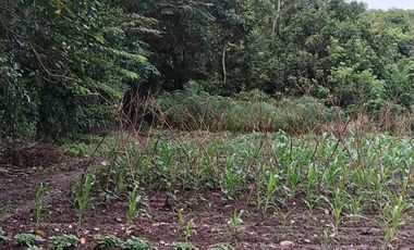 Tanah Murah dan Strategis di Citra Maja Raya Tangerang