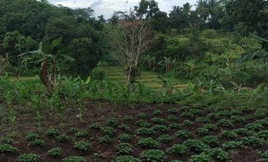 Tanah Murah dan Strategis di Citra Maja Raya Tangerang