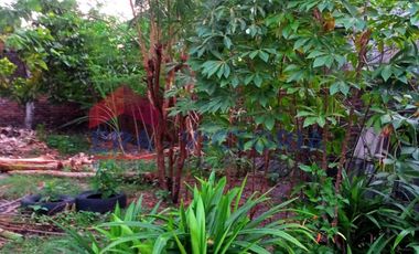 Rumah Sewa di Tengah Kota Kediri 2 Menit dari Kediri Town Square