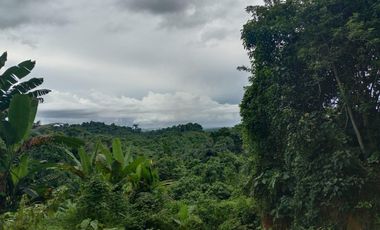 Jual tanah 9925m2 cocok untuk gudang atau kavling perumahan, Tepi jala