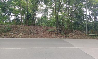 Jual tanah 9925m2 cocok untuk gudang atau kavling perumahan, Tepi jala