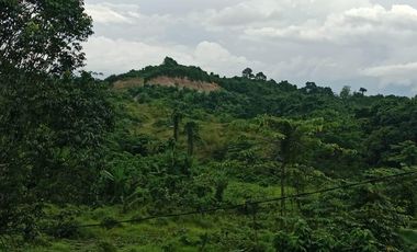 Jual tanah 9925m2 cocok untuk gudang atau kavling perumahan, Tepi jala