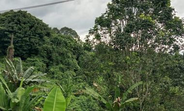 Jual tanah 9925m2 cocok untuk gudang atau kavling perumahan, Tepi jala