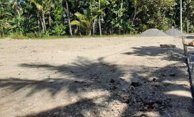 Dekat Pintu Tol Sentolo – Tanah Jogja Barat SHM Pekarangan