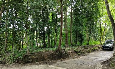 Tanah Luas Murah dekat Akses Jalan KulonProgo