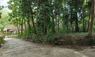 Tanah Luas Murah dekat Akses Jalan KulonProgo