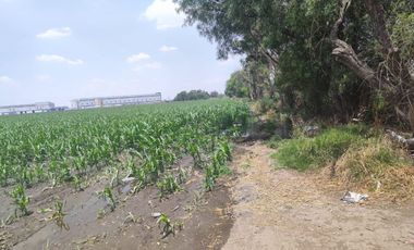 TERRENO VENTA CUAUTITLAN - ZUMPANGO